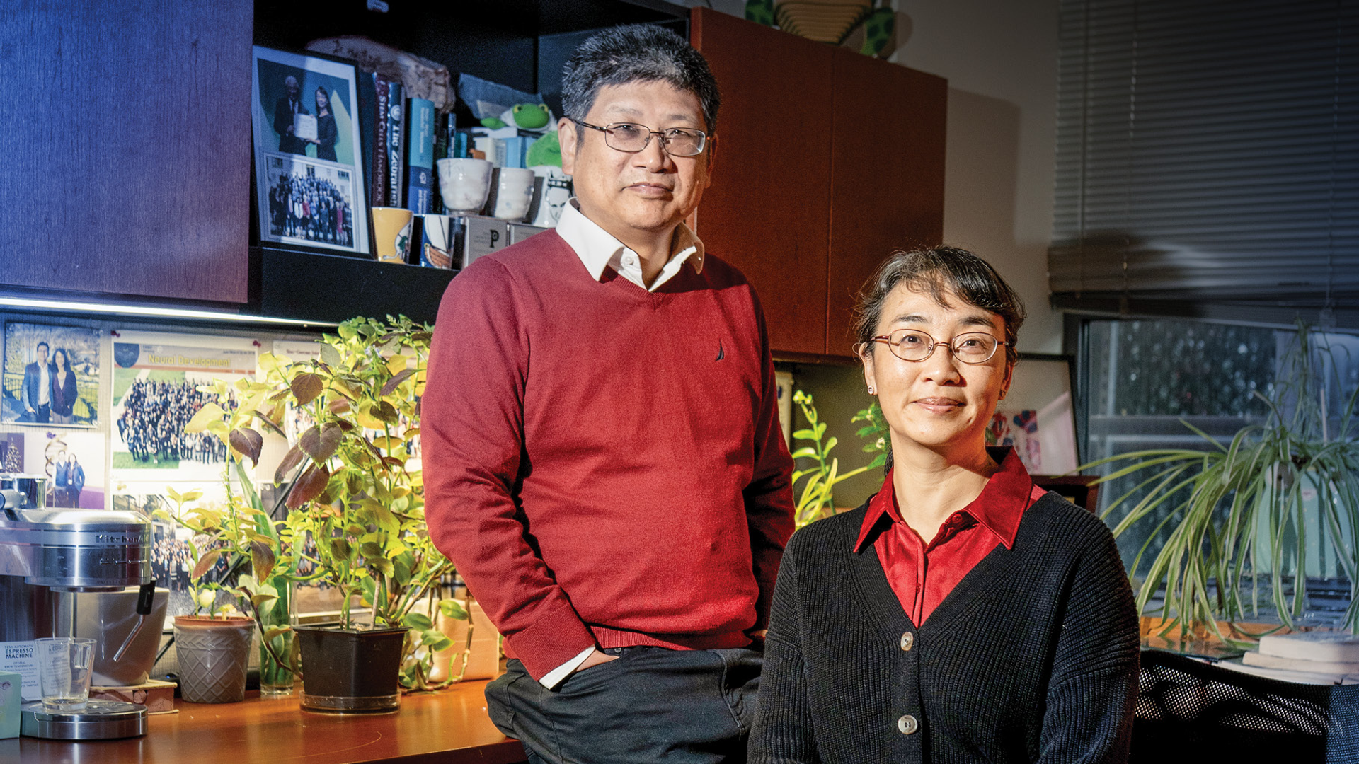 Hongjun Song, PhD, and Guo-li Ming, MD, PhD, relaxed sitting in an office with plants