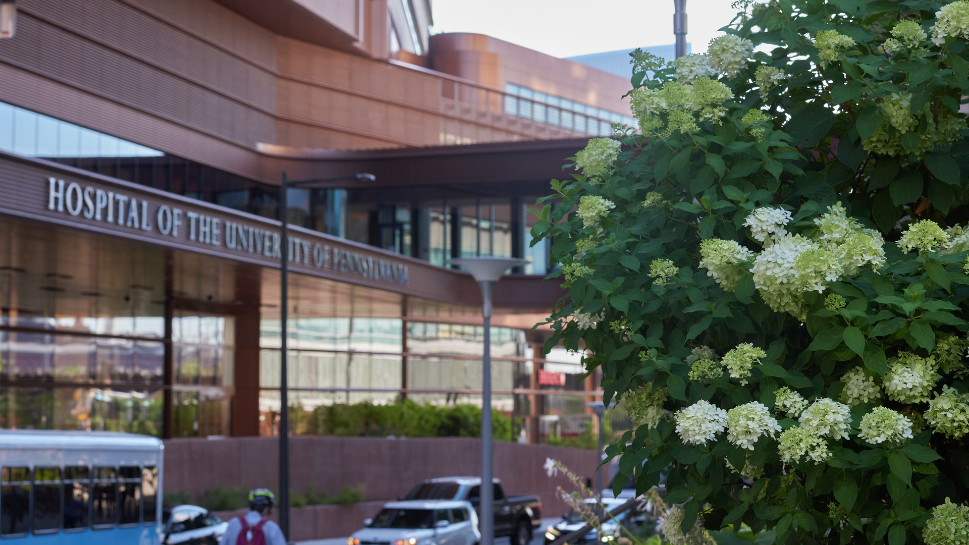 Greenery in front of the Hospital of the University of Pennsylvania Pavilion
