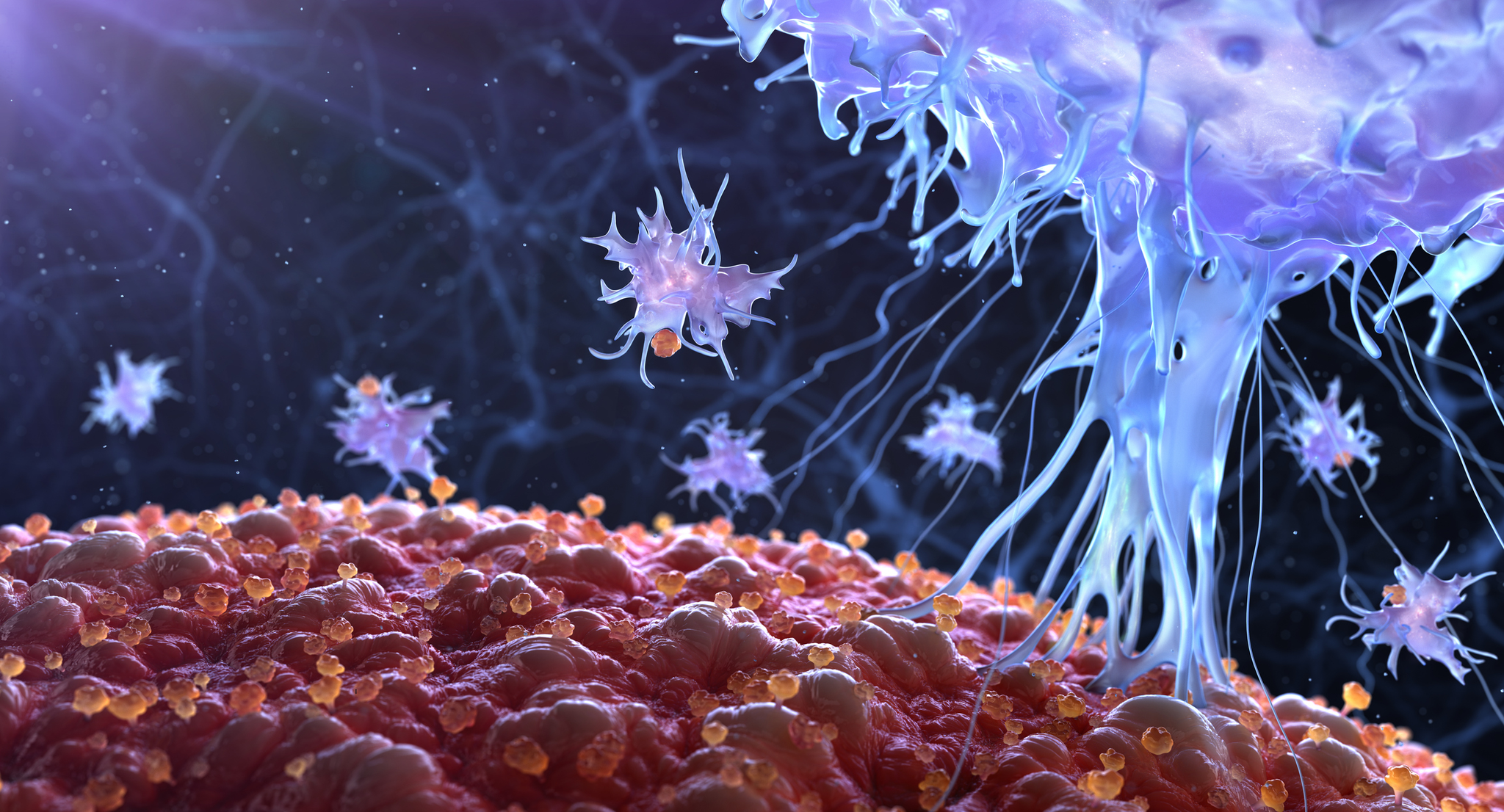 Immune cells