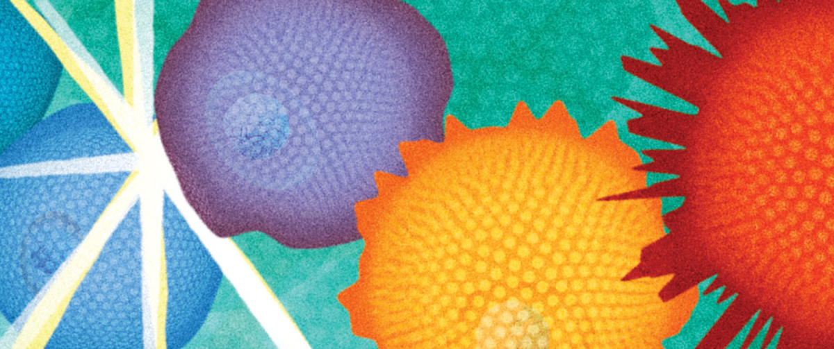 Illustration of colorful cells that are blue-green and round, and red and spikier in shape
