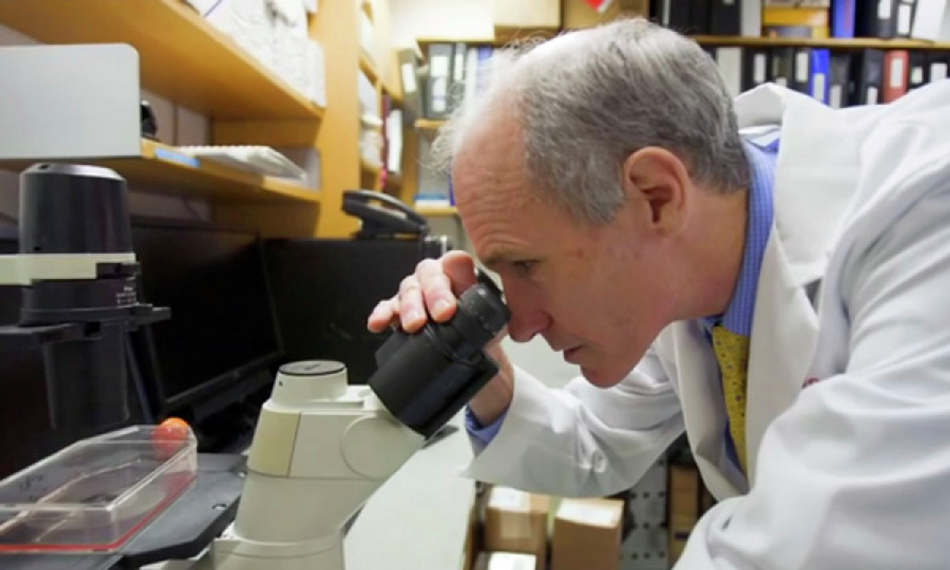 Carl June at a microscope