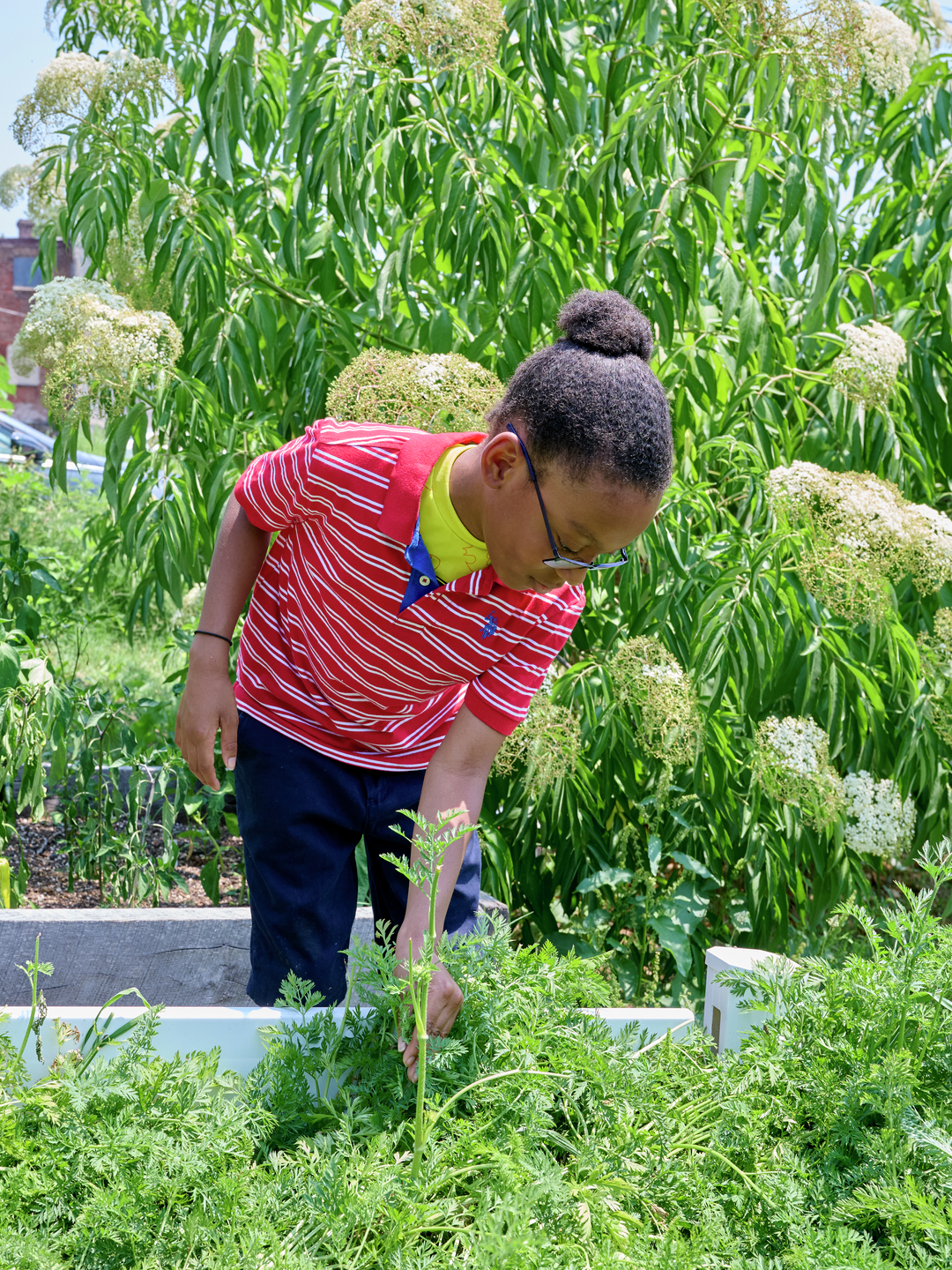 A young boy leans over a raised planter bed