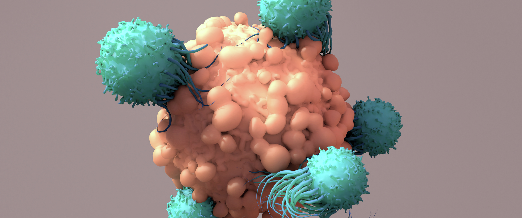 T-Cells Work to Fight Cancer, Immunotherapy, CAR T-cell therapy, 3d rendering