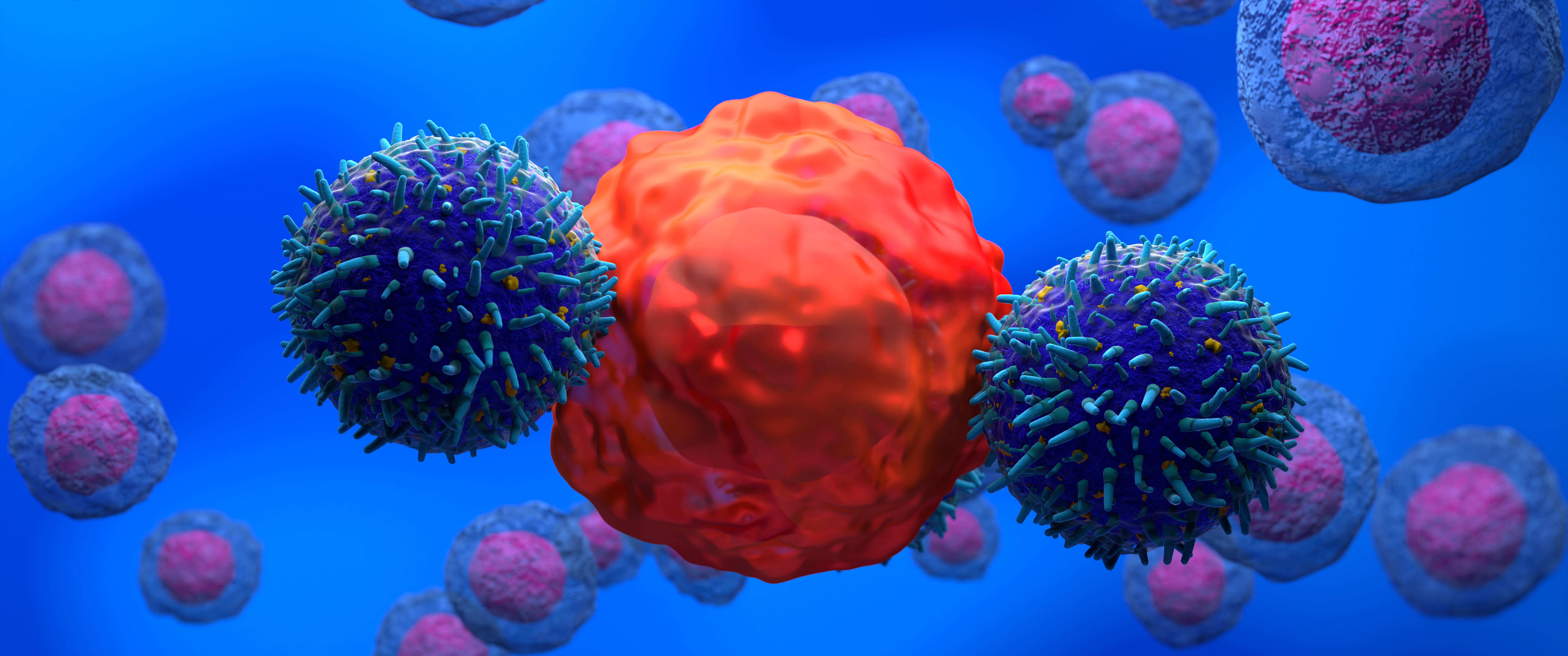 A 3D illustration of CAR T cells attacking cancer cell
