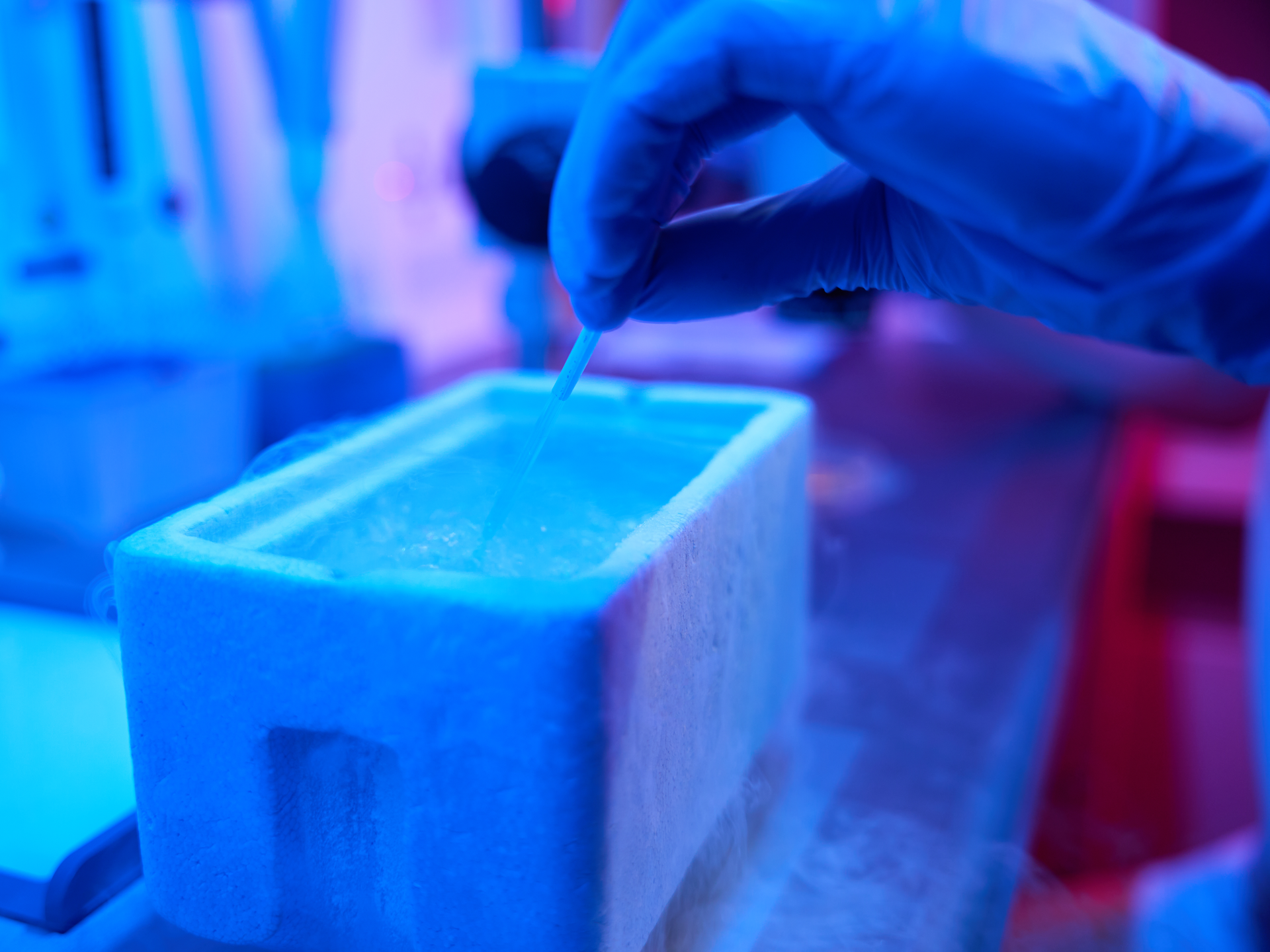 Lab worker immerses a straw with an embryo in a tank of liquid nitrogen