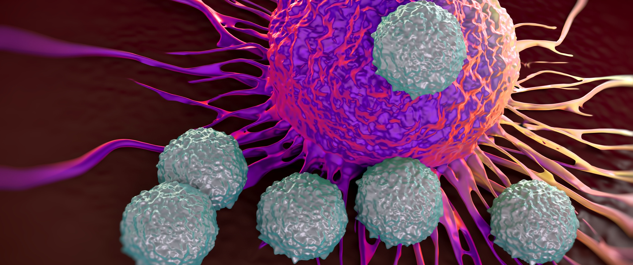 An illustration of a microscopic image of CAR T cells attacking a cancer cell