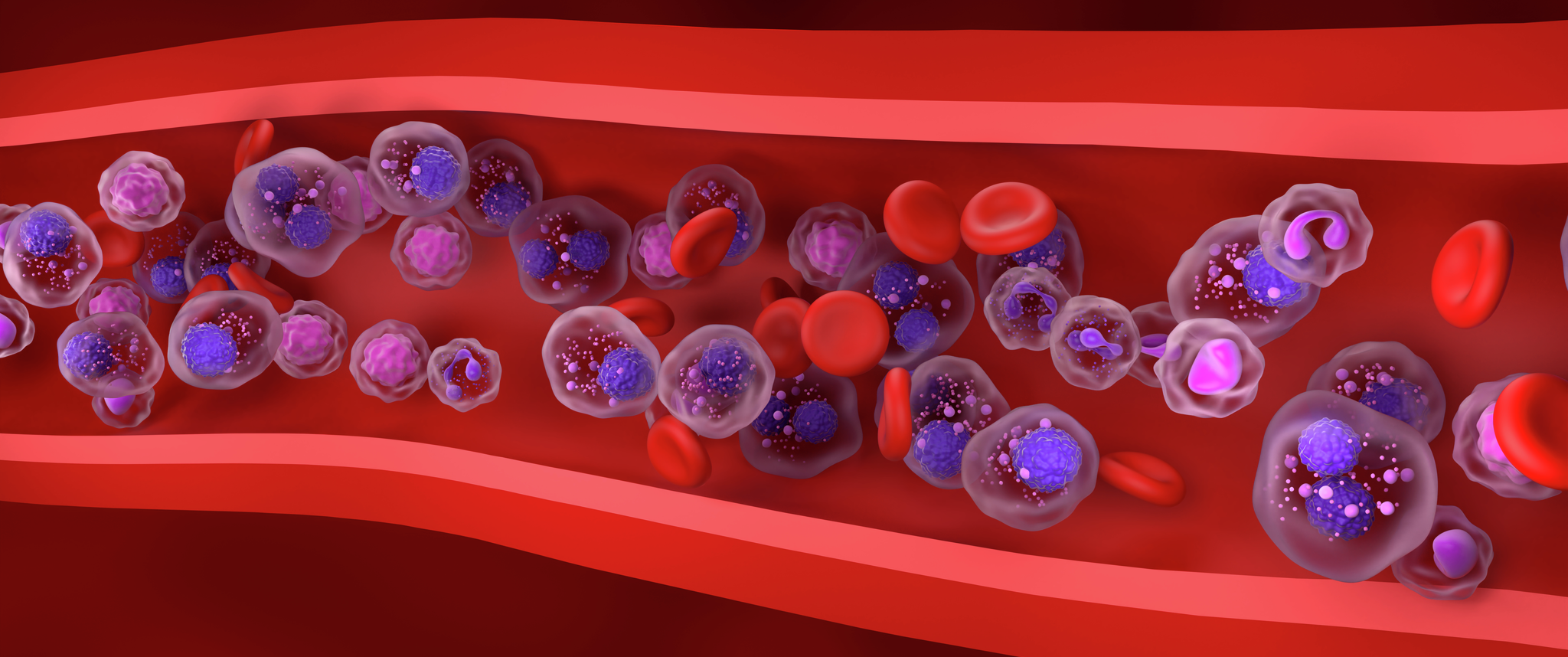 A digital illustration of multiple myeloma cells in the blood flow