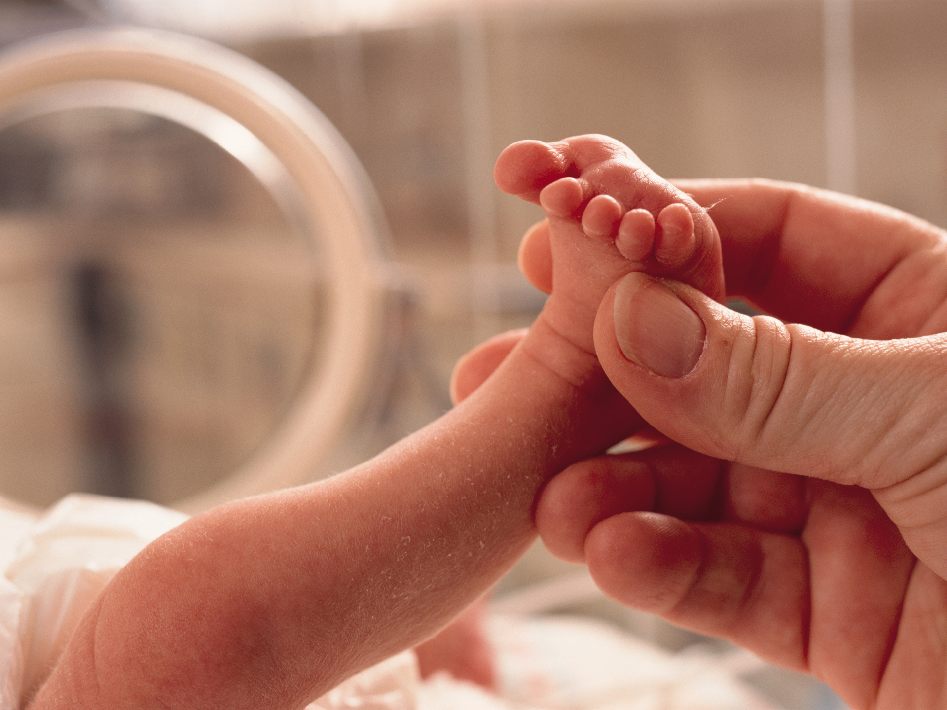 Small premature baby lies in an incubator a grown hand reaches in grasping the foot in caring manner