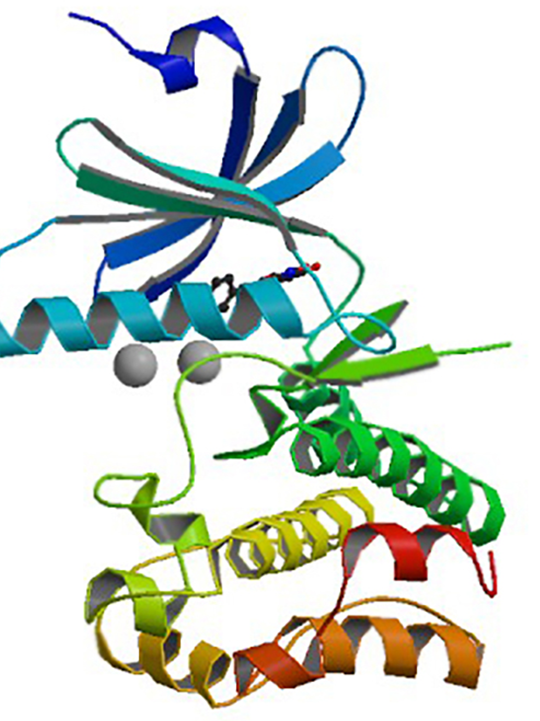 A human Wee1 kinase molecule is shown