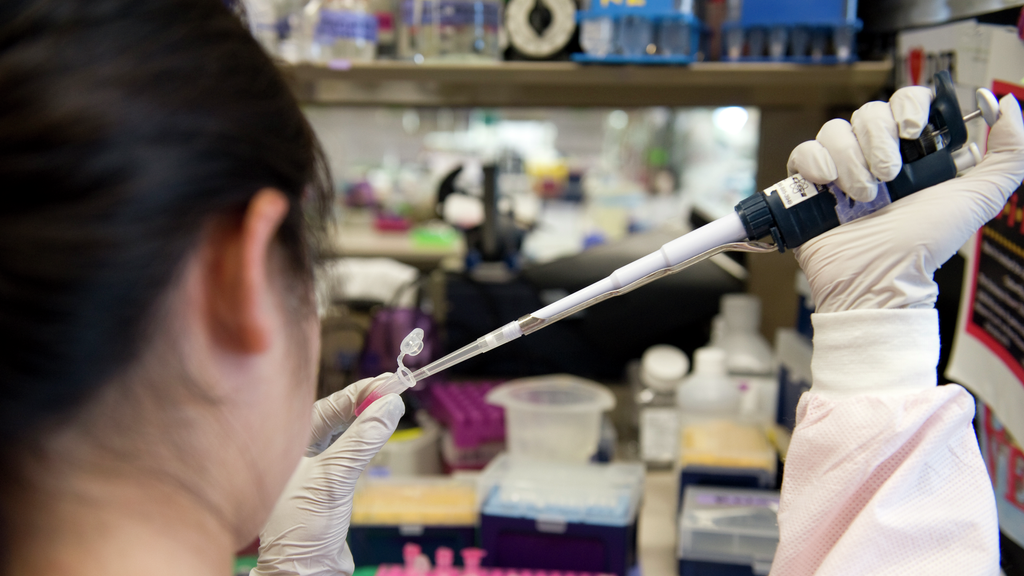 A person holding a pipette and a small test tube